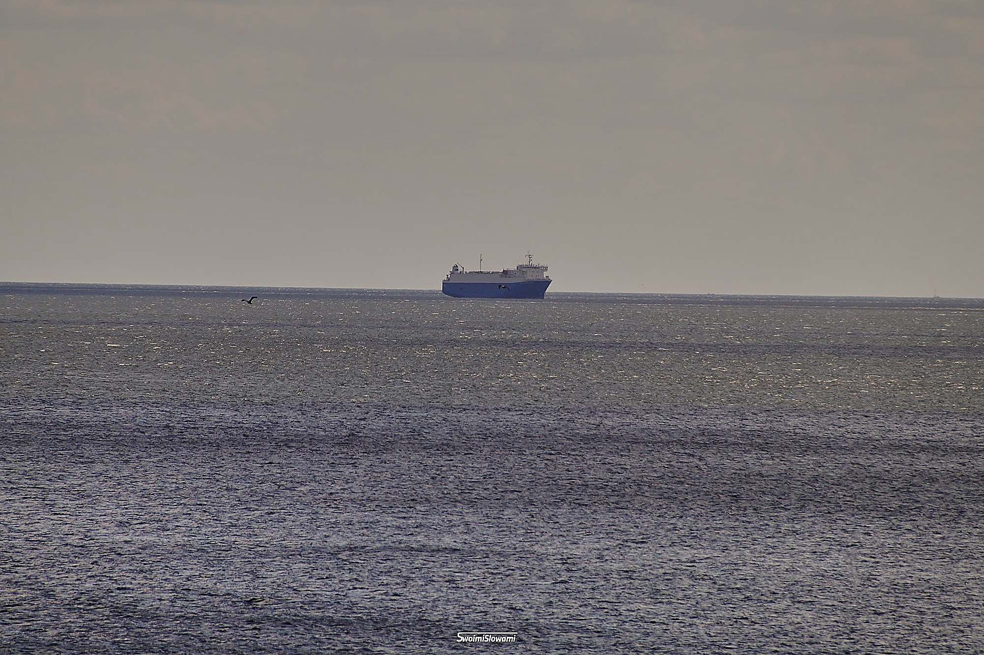 Gdynia Orlowo Klif 1.jpg